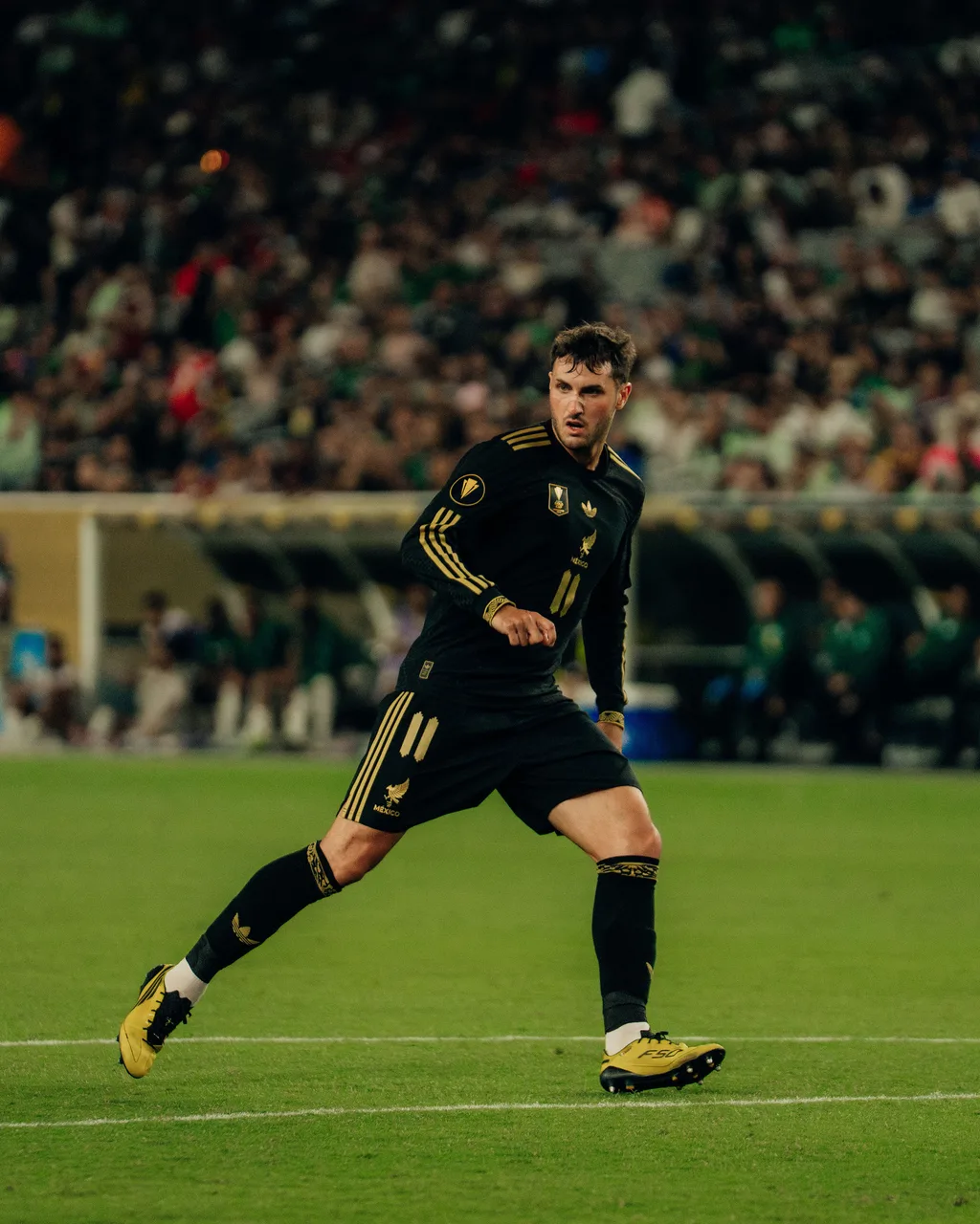 Concacaf Gold Cup 2025 - photograph 5 of 18